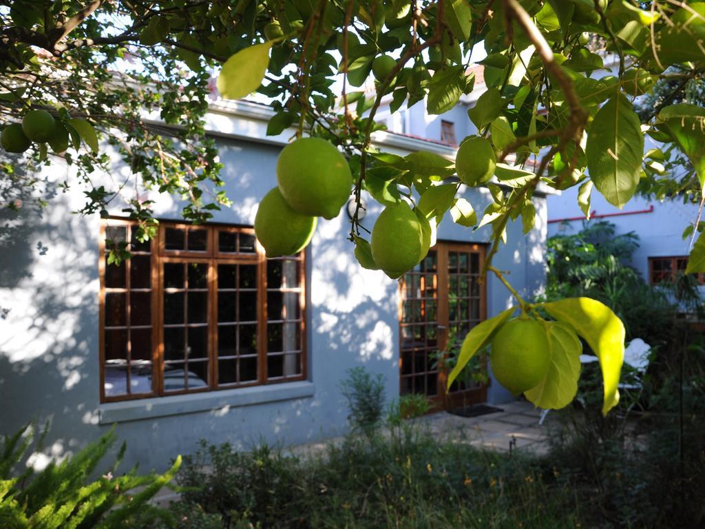 House Of House Guest House Stellenbosch Kültér fotó